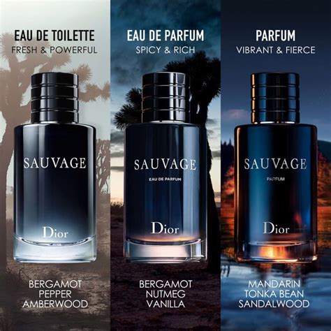 fragrances like dior sauvage.